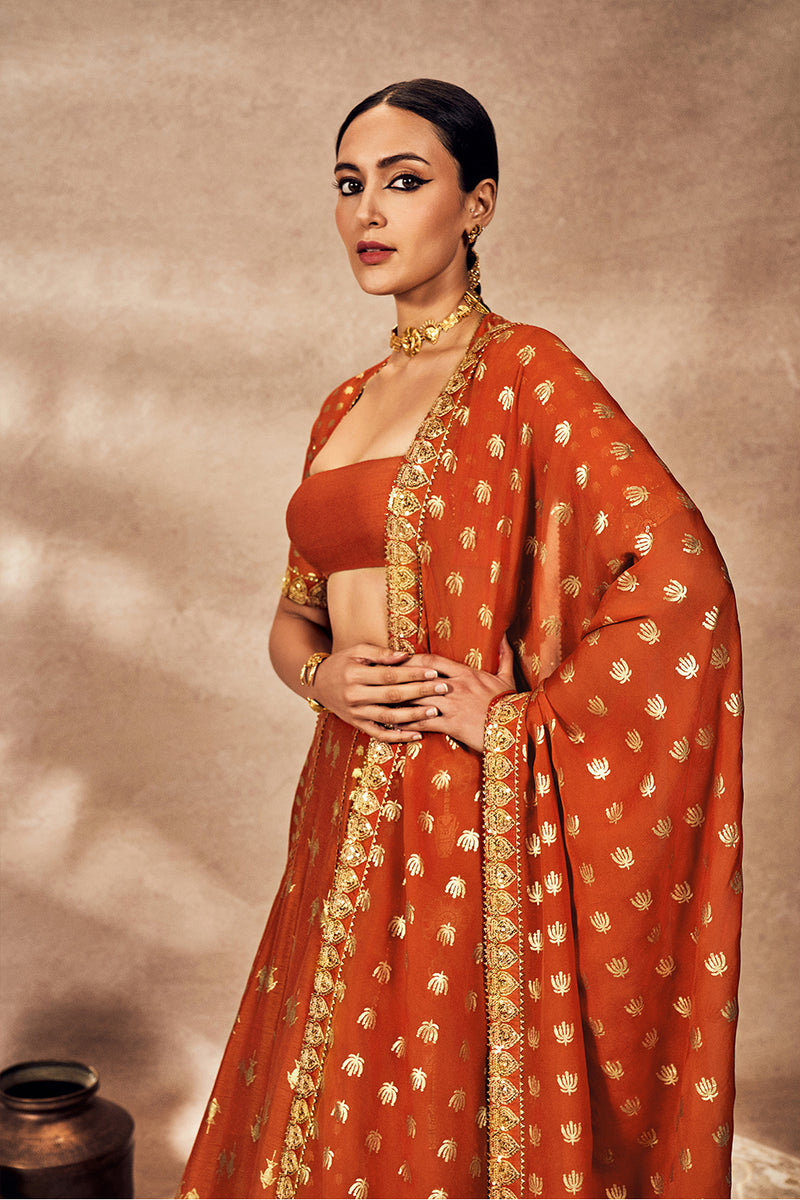 Rust Foil Lehenga Set