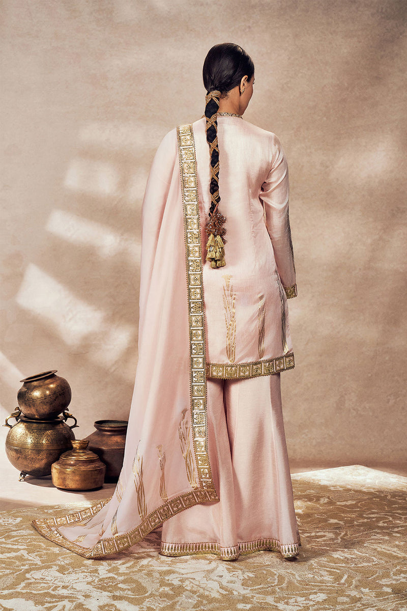 Baby Pink Whispering Lily Sharara Set