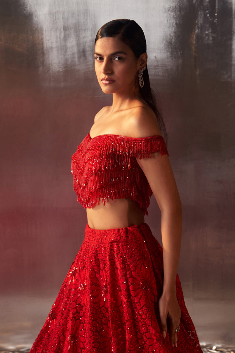 Red Net Lehenga Set