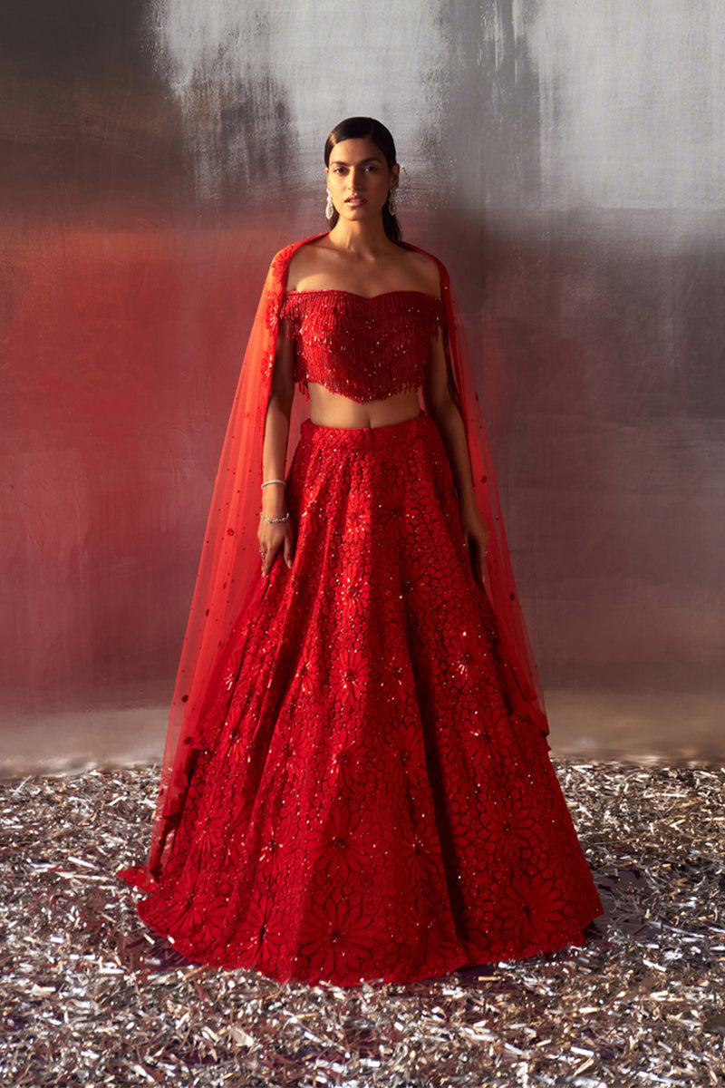 Red Net Lehenga Set