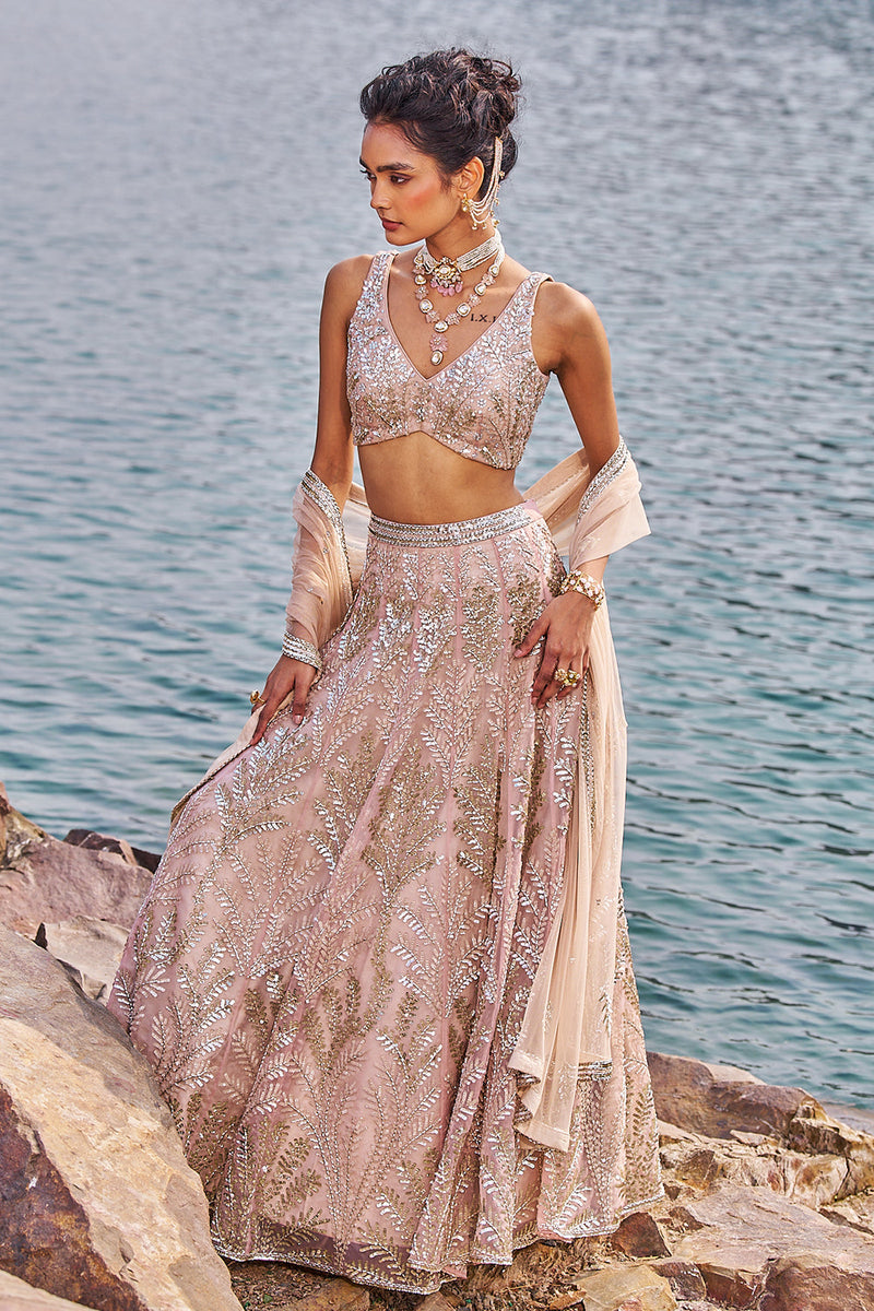 Bahaar E Jashan Lehenga Set