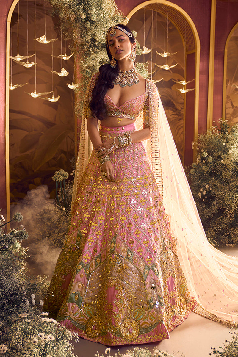 Alice - Baby Pink Royal Carriage Lehenga Set