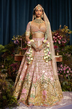 Alice - Baby Pink Royal Carriage Lehenga Set