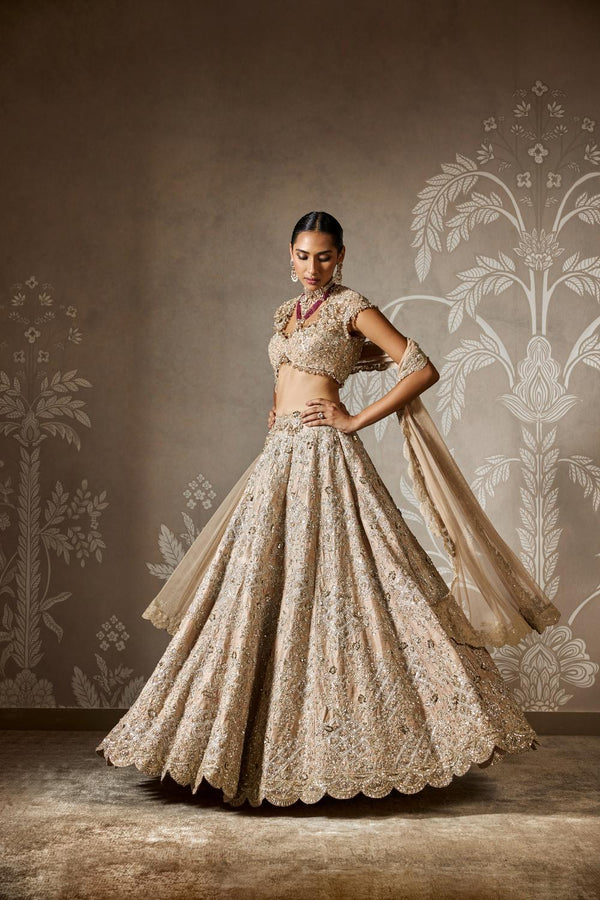 Ziva Lehenga Set