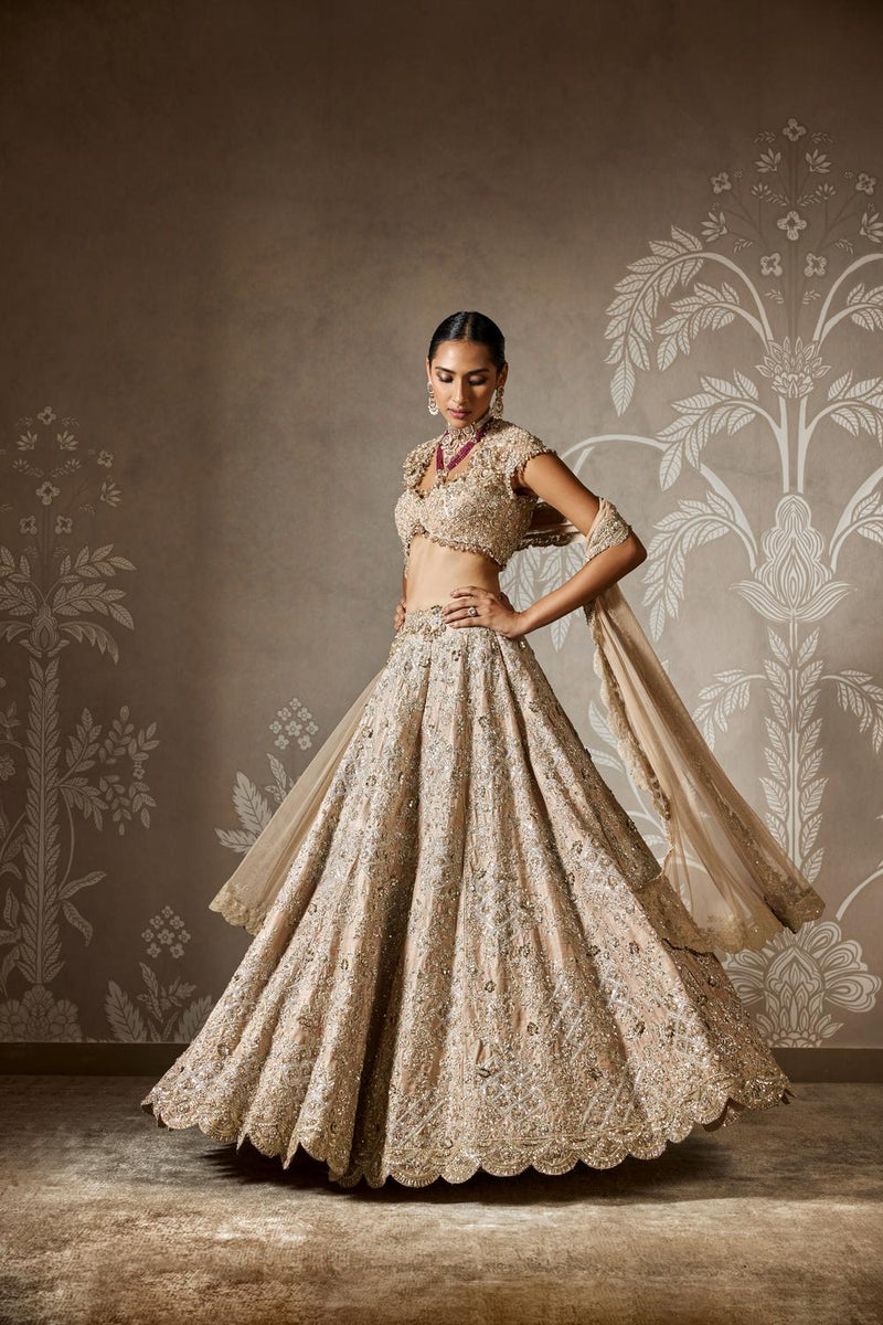 Ziva Lehenga Set