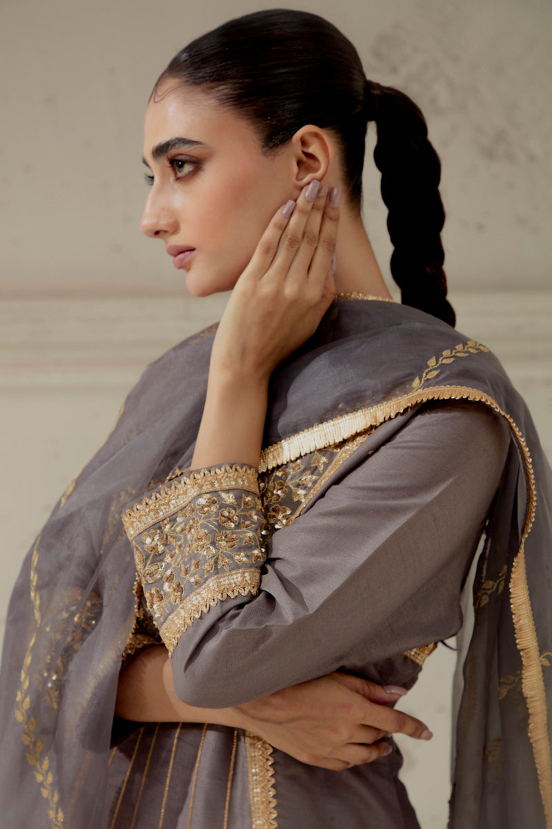 Grey Silk Kalidar Suit