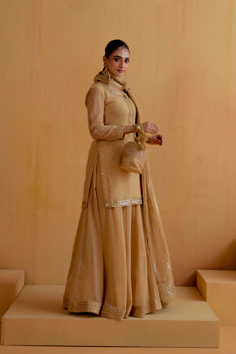 Short Georgette Lehenga