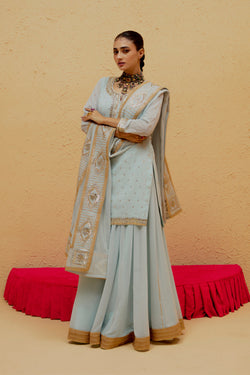 Powder Blue Short Georgette Lehenga