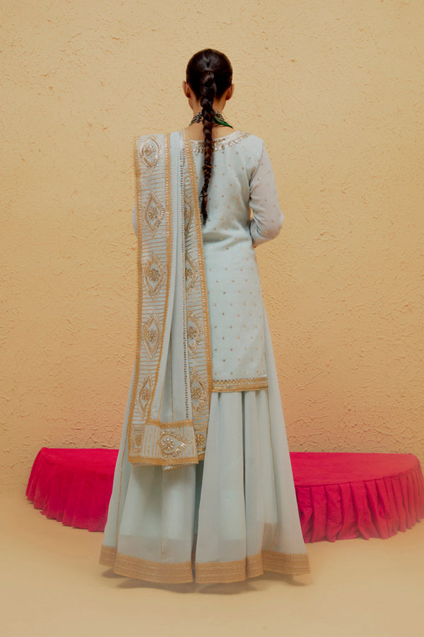 Powder Blue Short Georgette Lehenga