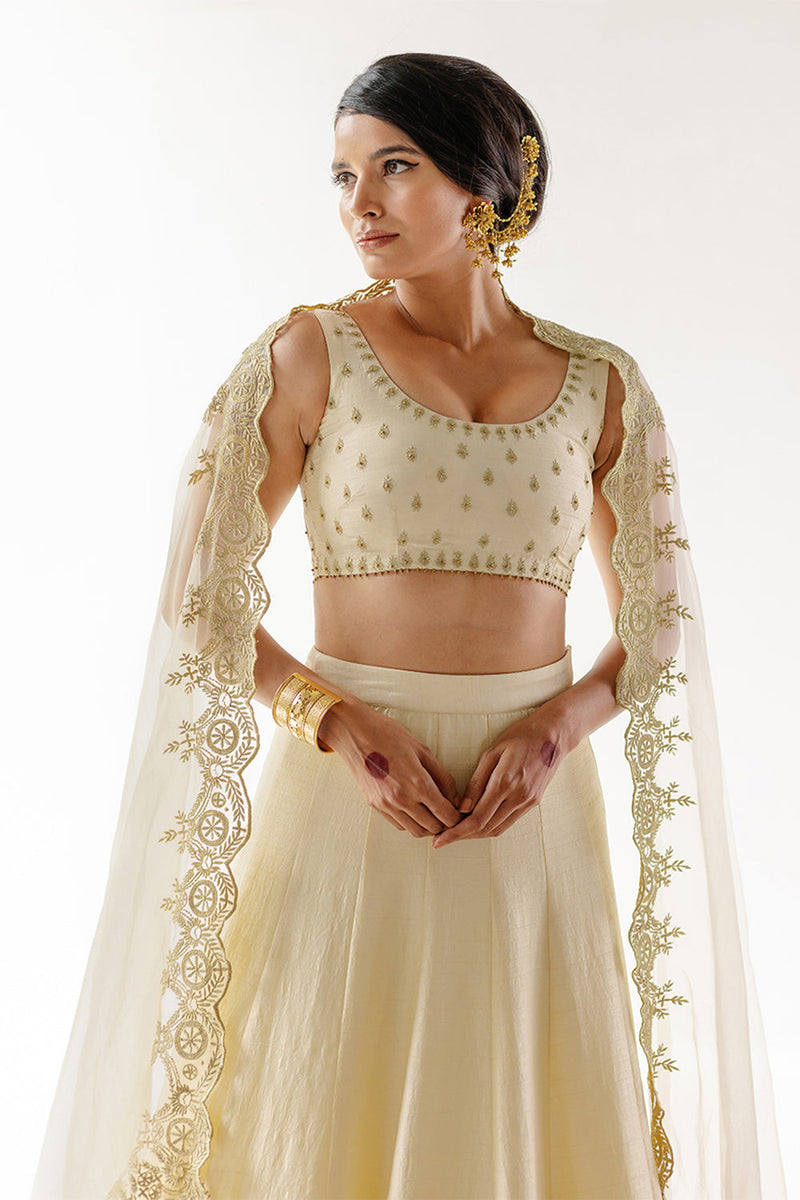 Raazi Lehenga Set