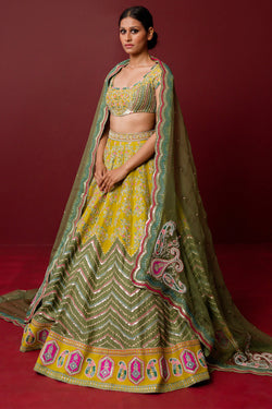 Aarya Lehenga Set