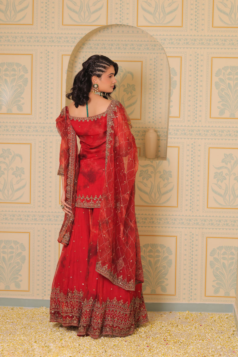 Anaari Red Kurta And Sharara With Dupatta