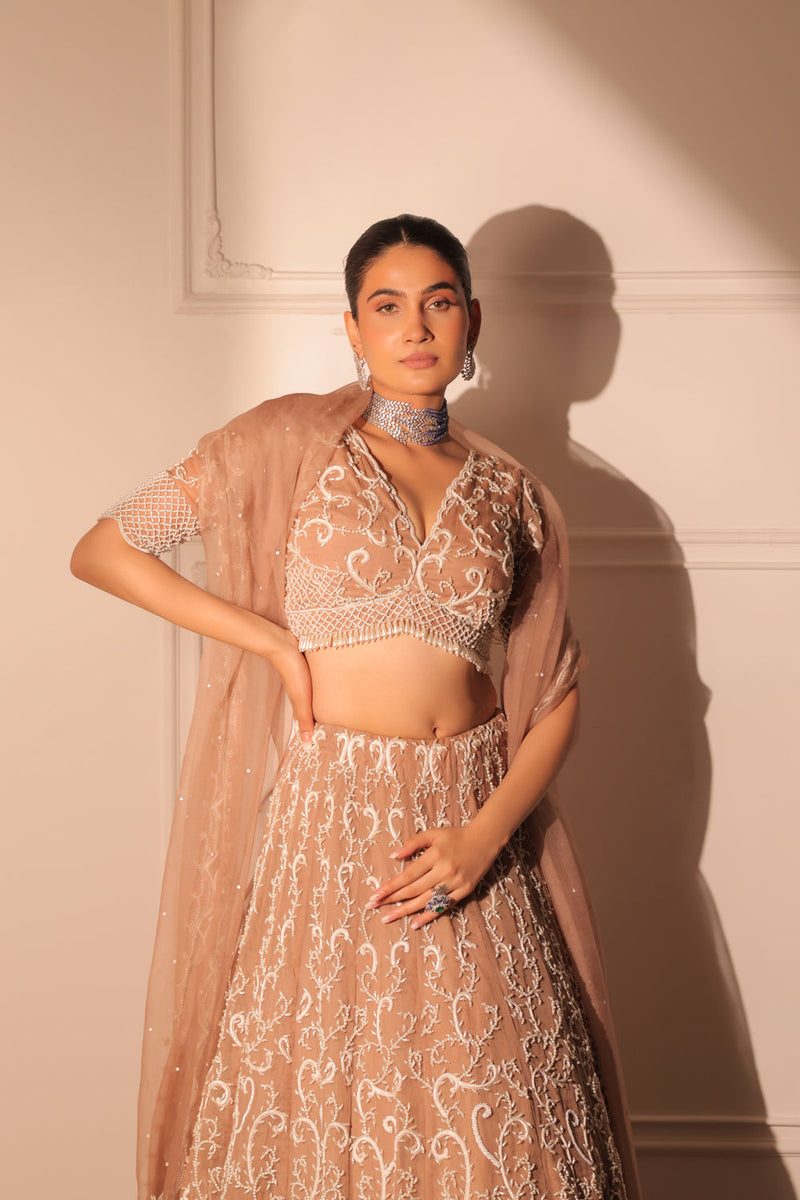 Nora Nude Beige Lehenga Set