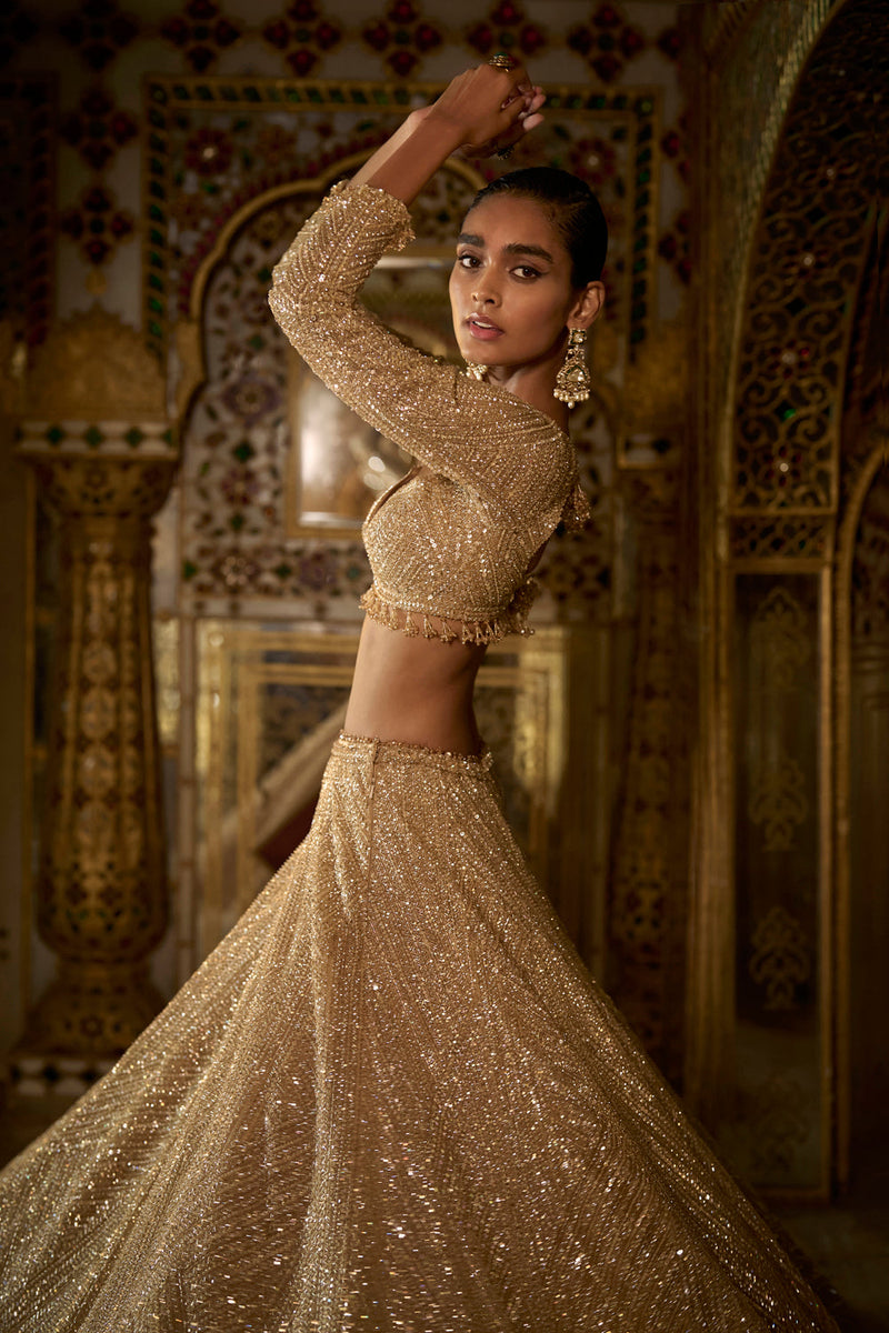 Gold Sequin Lehenga Set