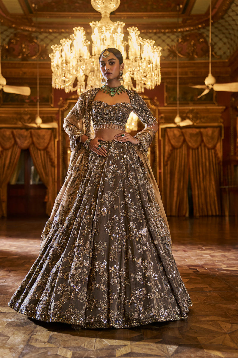 Antique Brown Tissue Lehenga Set