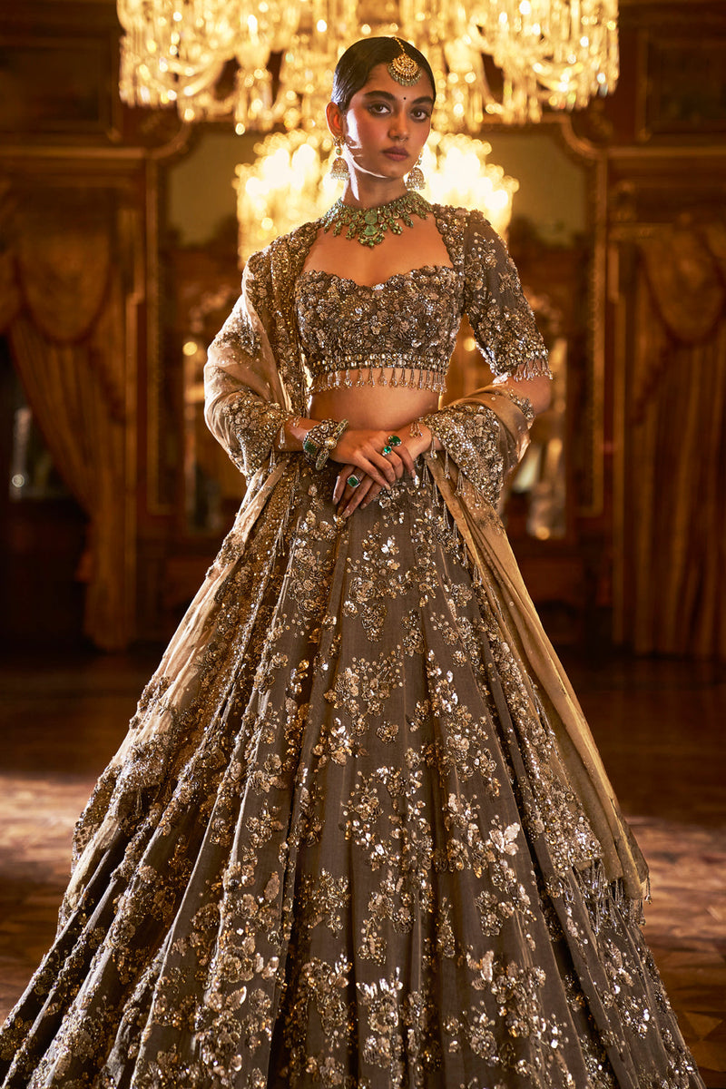 Antique Brown Tissue Lehenga Set