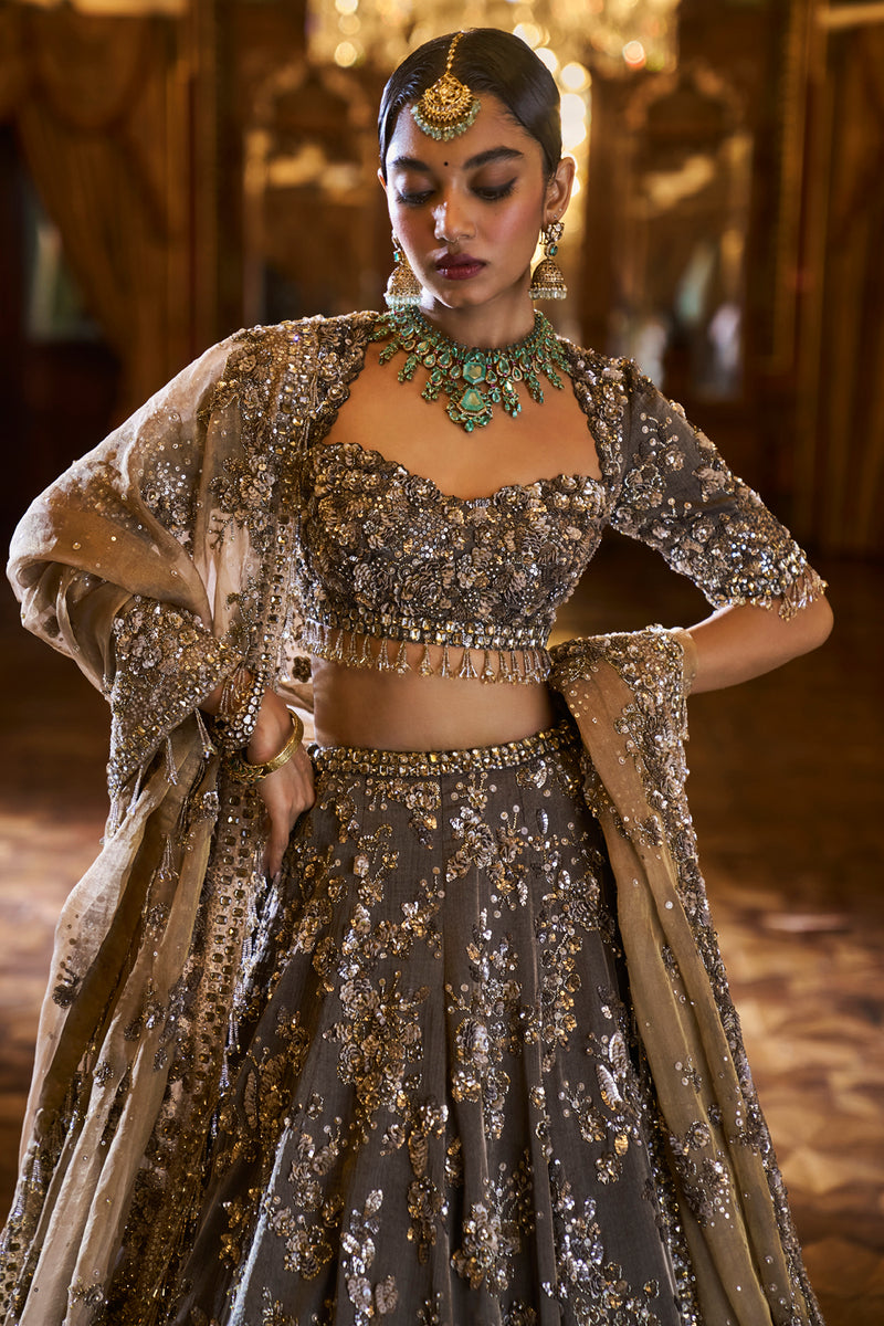 Antique Brown Tissue Lehenga Set