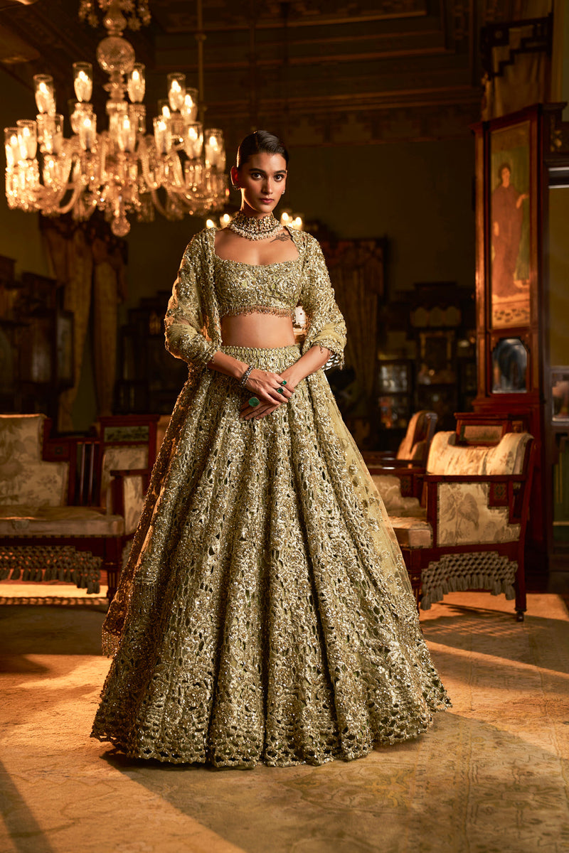 Sage Green Cut Work Lehenga Set