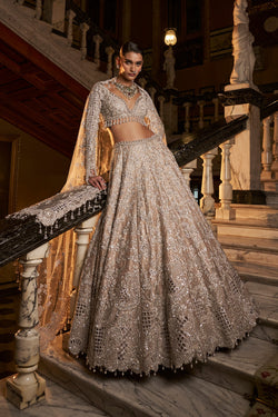 Nude Silver Cut Work Lehenga Set