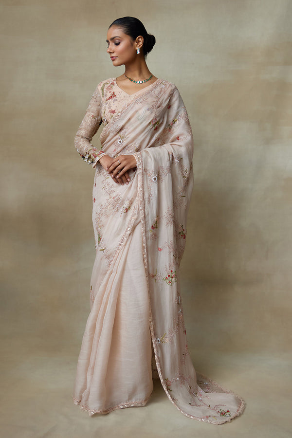 Blush Saree