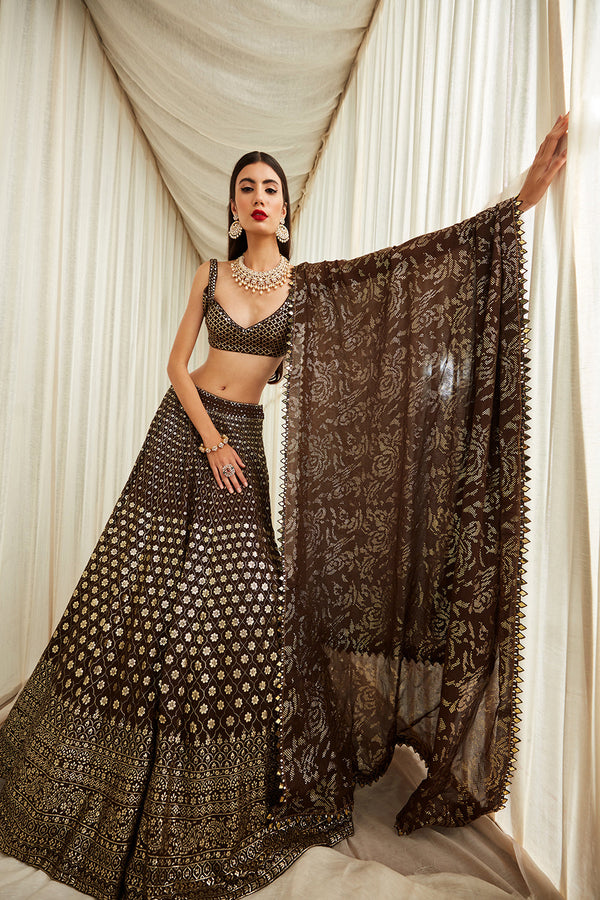 Coffee Badala Work Lehnga With Floral Dupatta