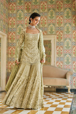 Sage Green Sharara