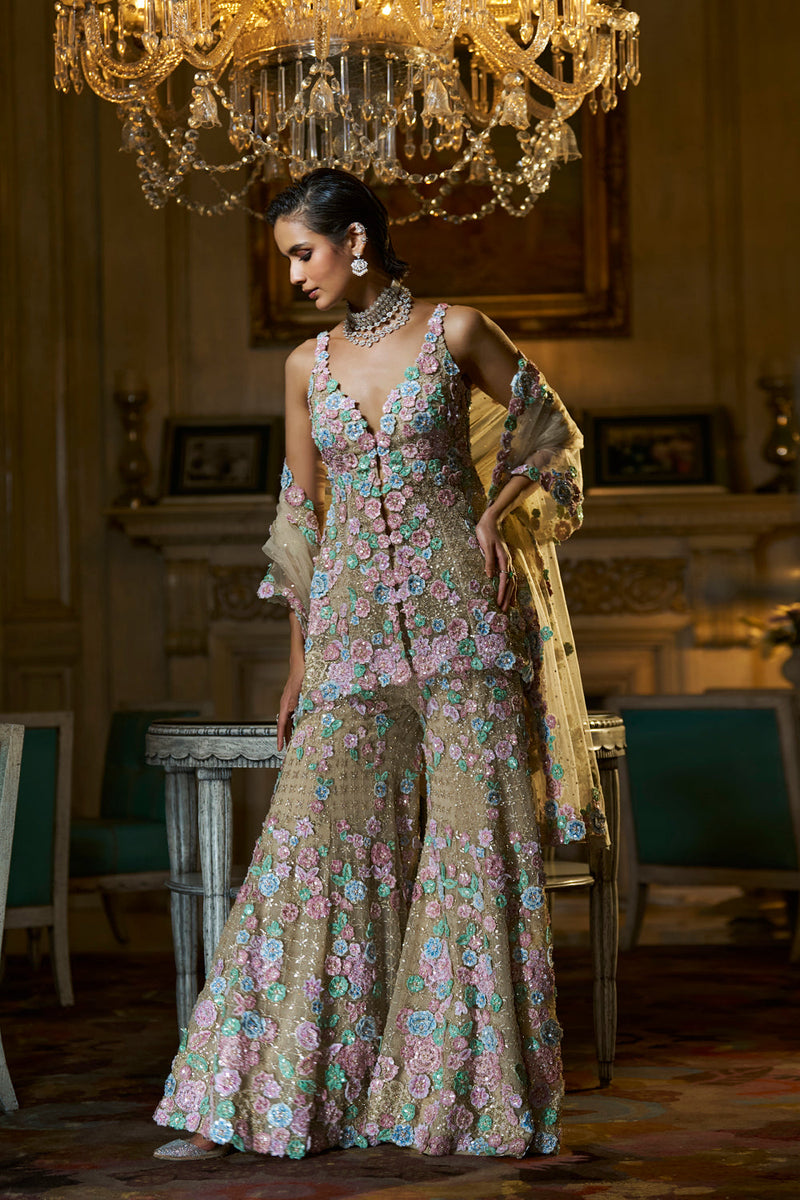 Multi-Coloured Three-Dimensional Sharara Set