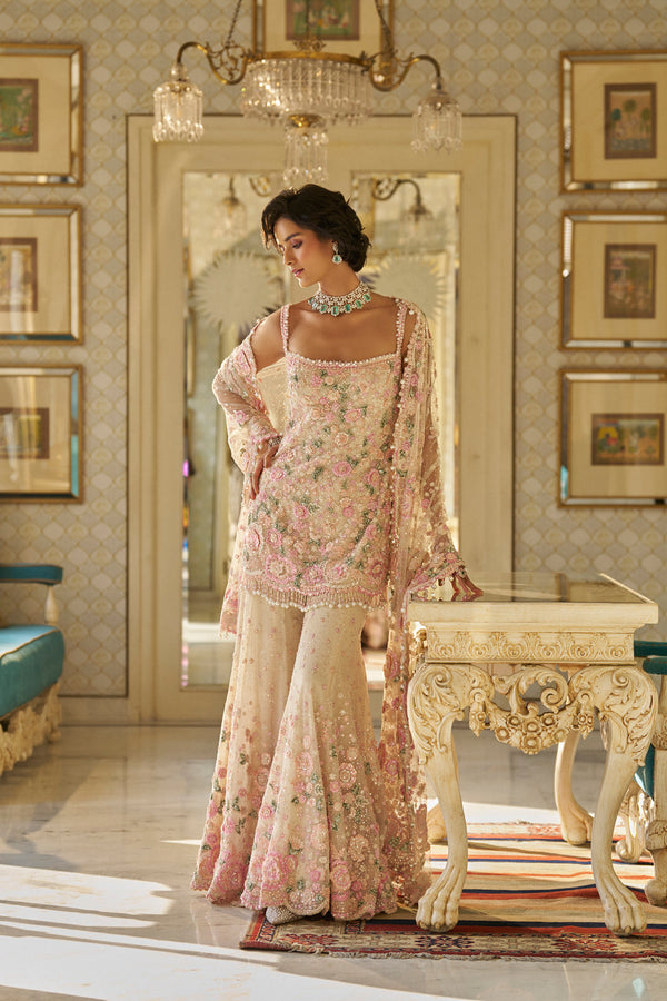 Nude Multi-Coloured Three-Dimensional Sharara Set