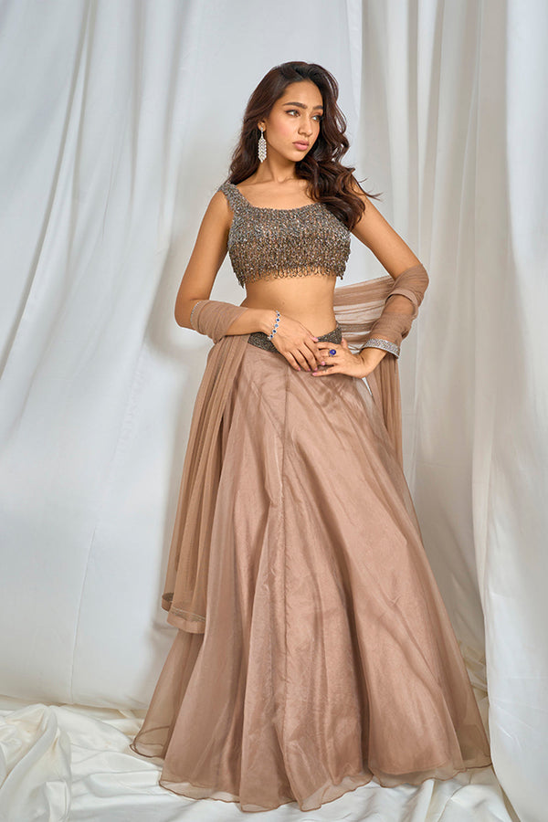 Divasa Lehenga