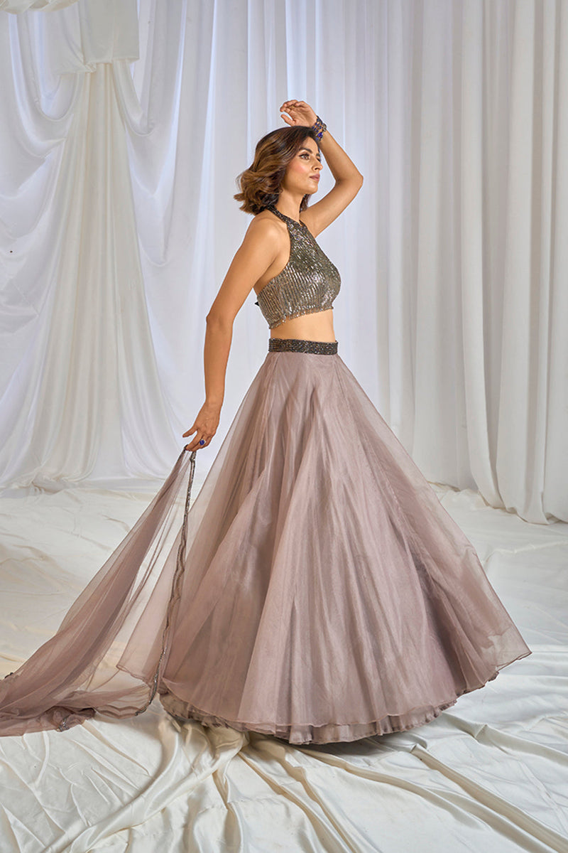 Stellar Lehenga