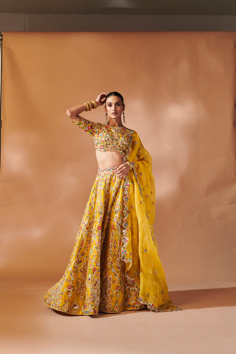 Mustard Lehenga Set With Elbow Lengt Sleeves