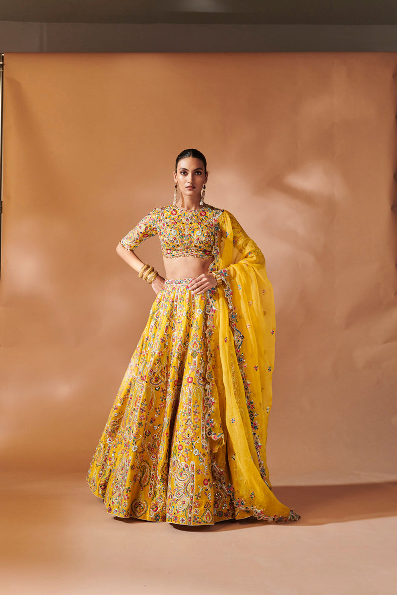 Mustard Lehenga Set With Elbow Lengt Sleeves