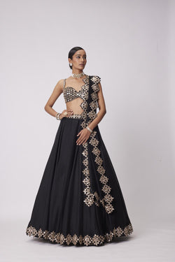 Black Organza Hand Embroidered Lehenga Set