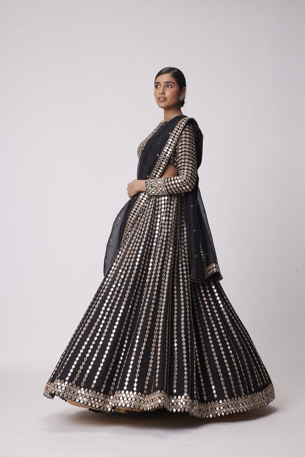 Black Linear Mirror Embroidered Organza Lehenga Set