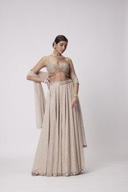 Light Beige Georgette Lehenga Pants Set