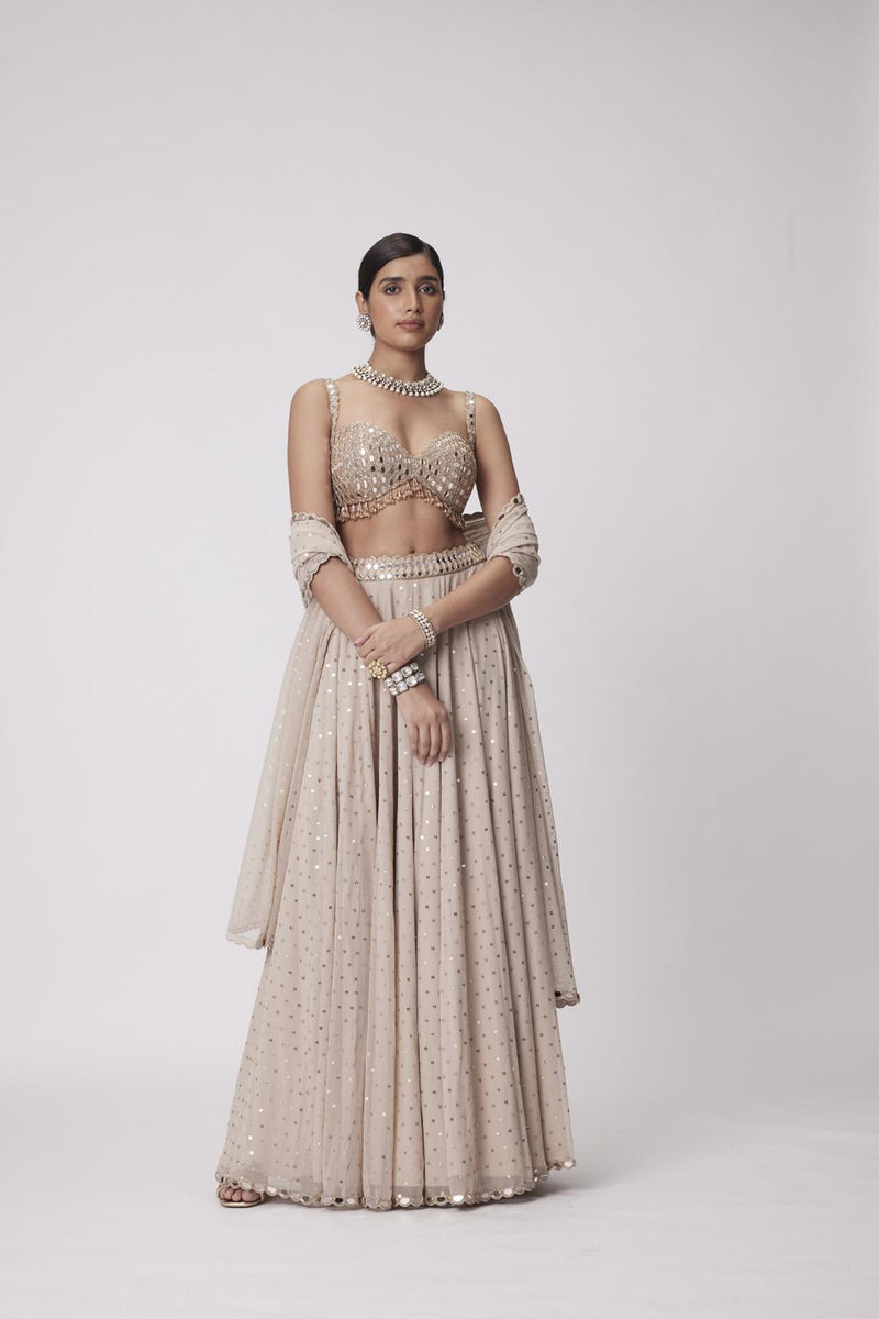 Light Beige Georgette Lehenga Pants Set