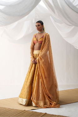 Dev kali Lehenga