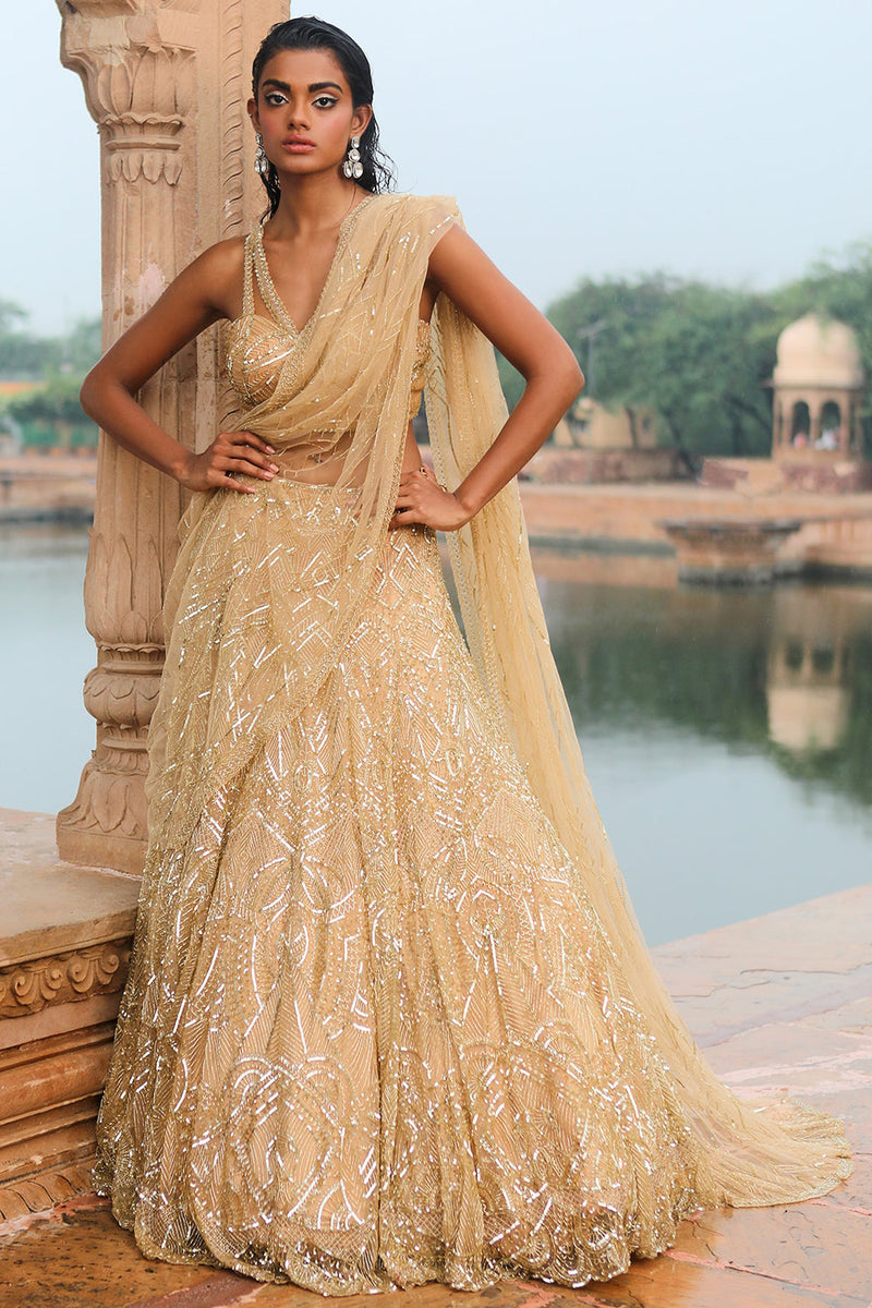 Beautiful lehenga saree dresses hotsell